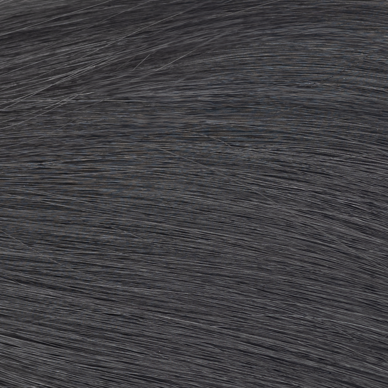 #color_#1: Jet Black