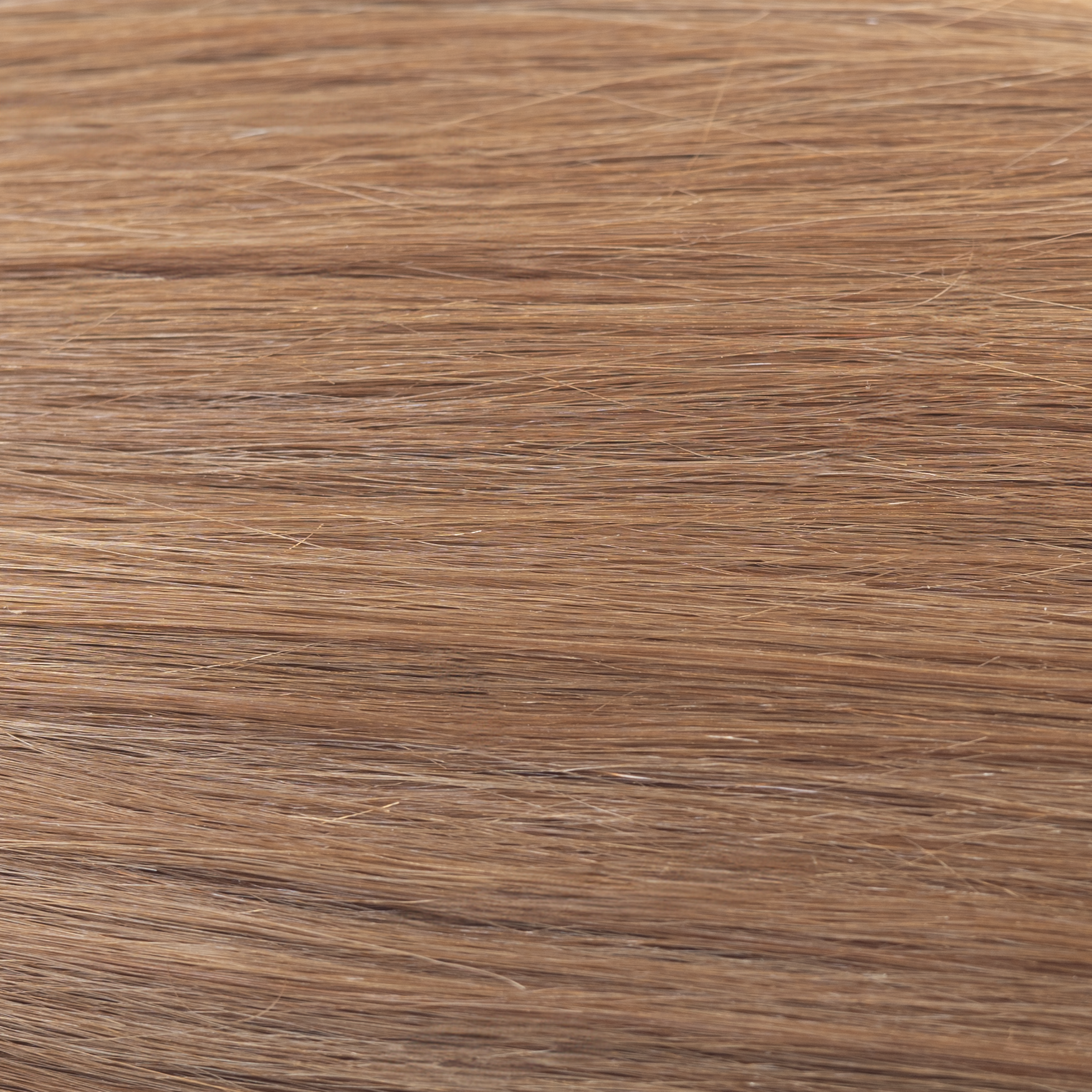 #color_#6: Light Brown
