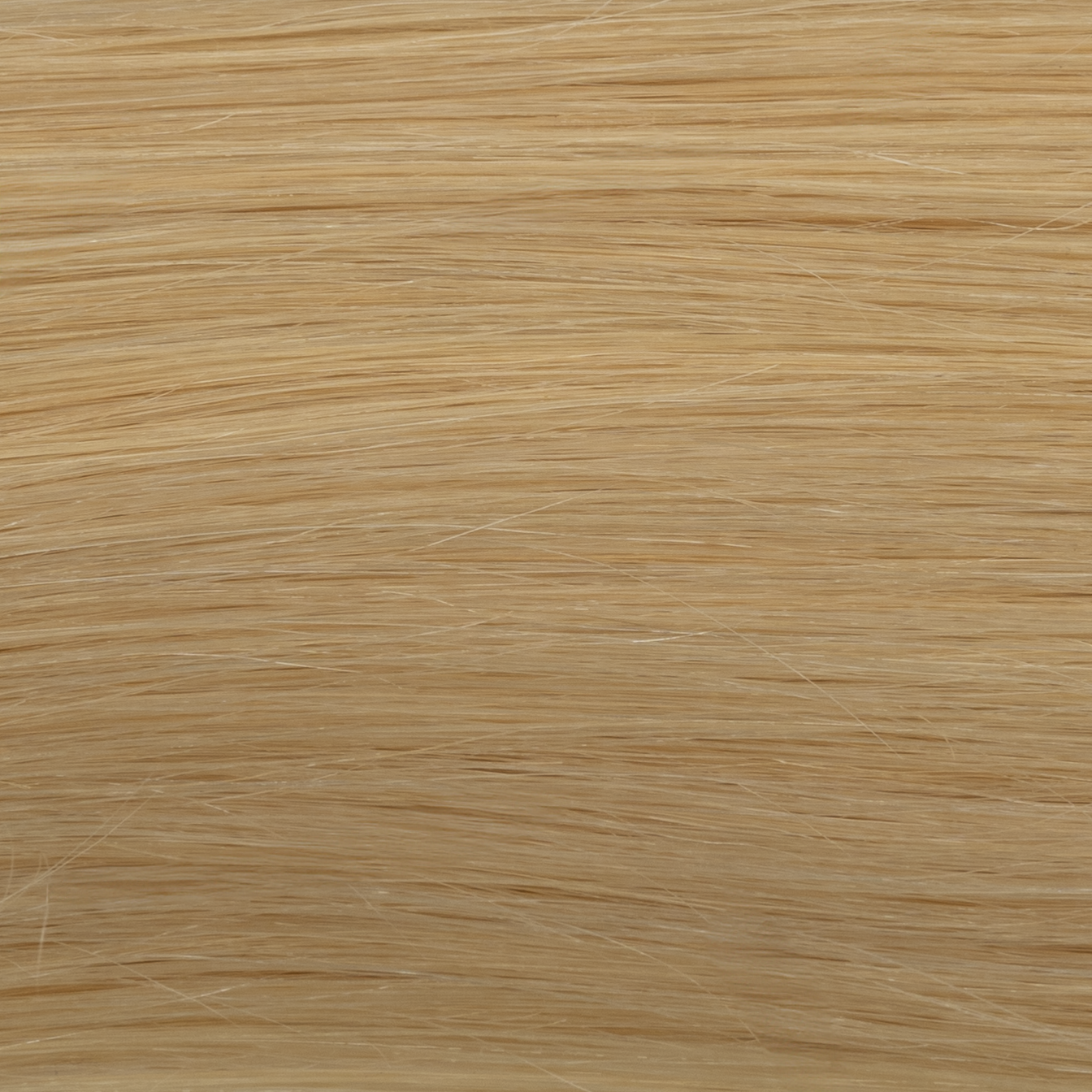 #color_#613: Light Blonde