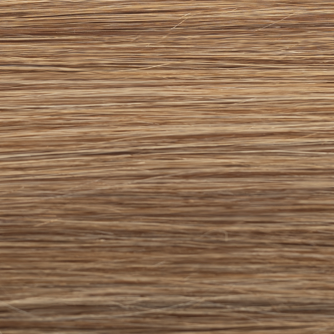 #color_#8/31: Blended